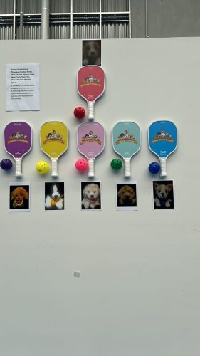 PADDLES PUPS PICKLEBALL PADDLES ON WALL